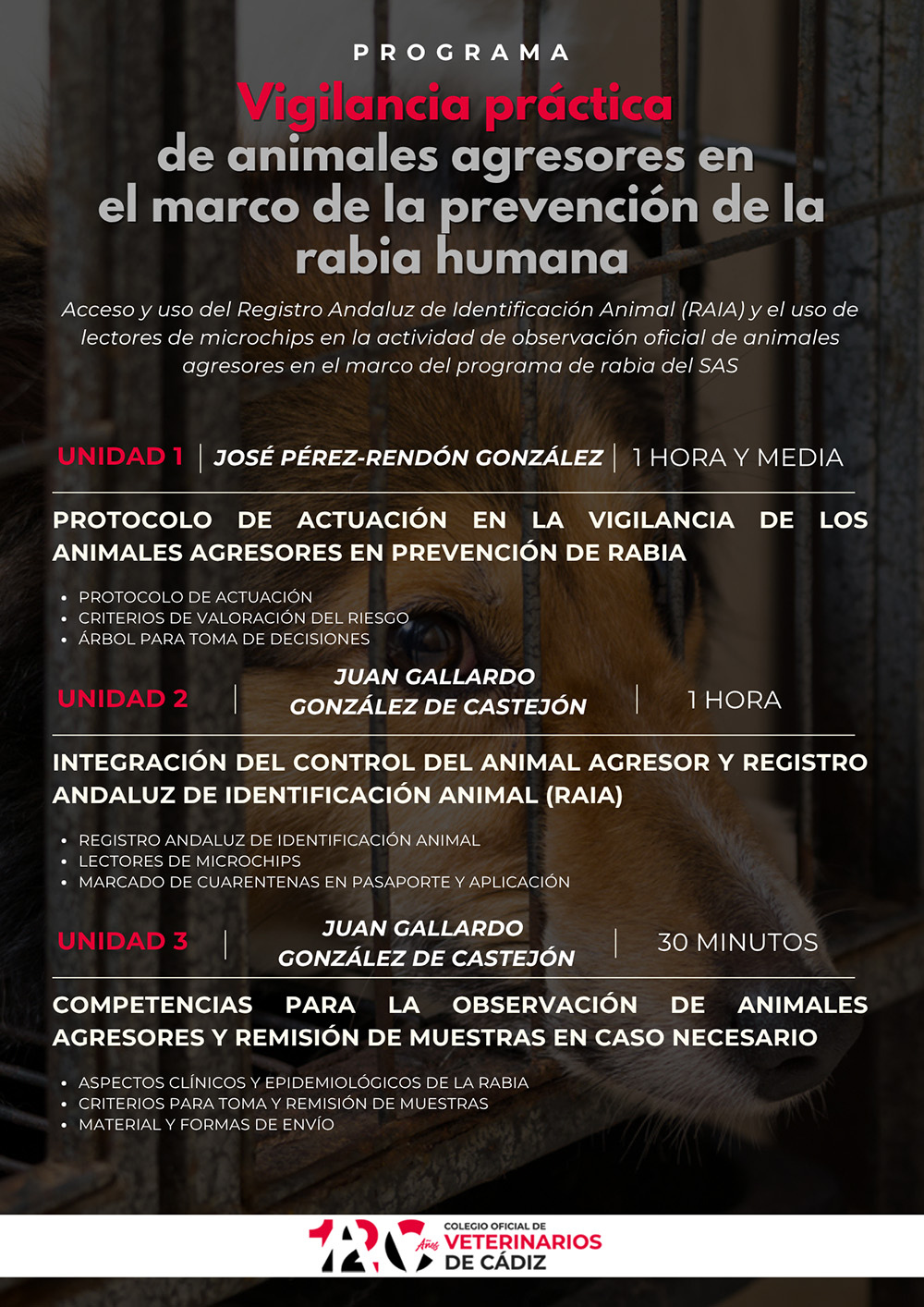Programa Vigilancia práctica 2