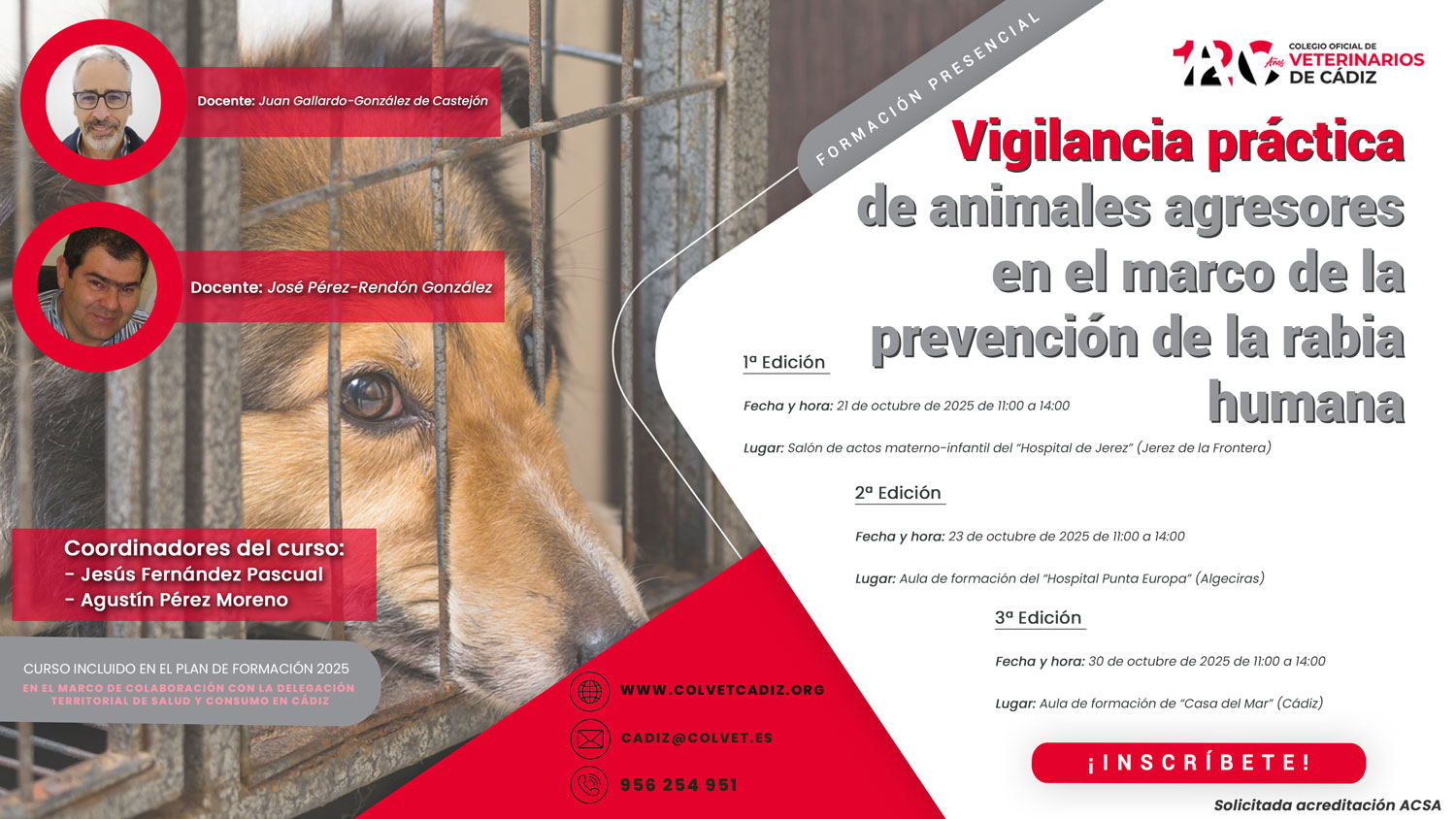 vigilancia practica