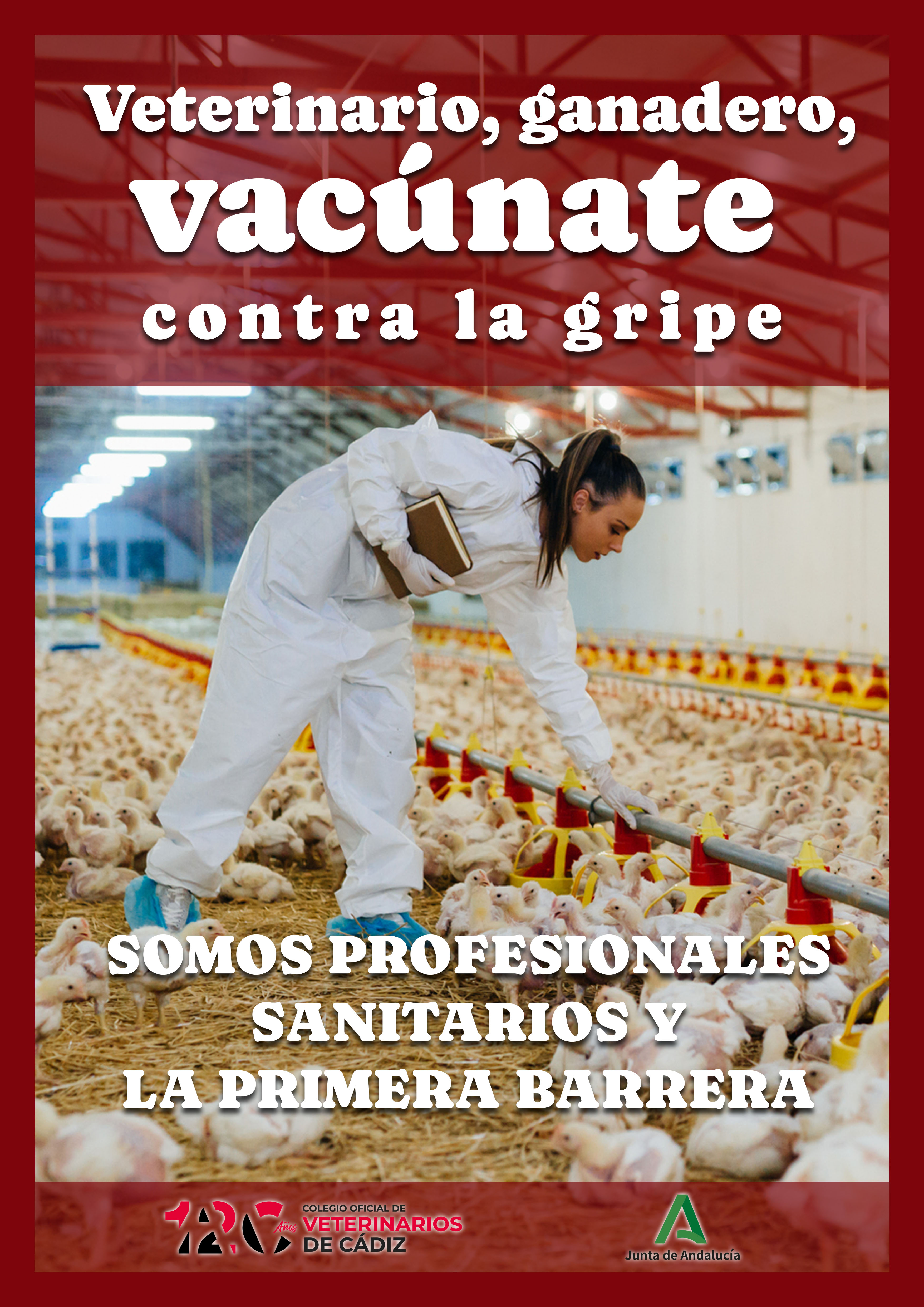 Ámbito profesional
