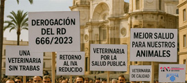 Manifestación 8 de junio