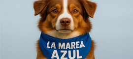 Pañuelo azul veterinario