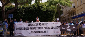 Avance histórico para la profesión veterinaria