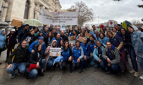 MADRID - 5 DE MARZO 2025